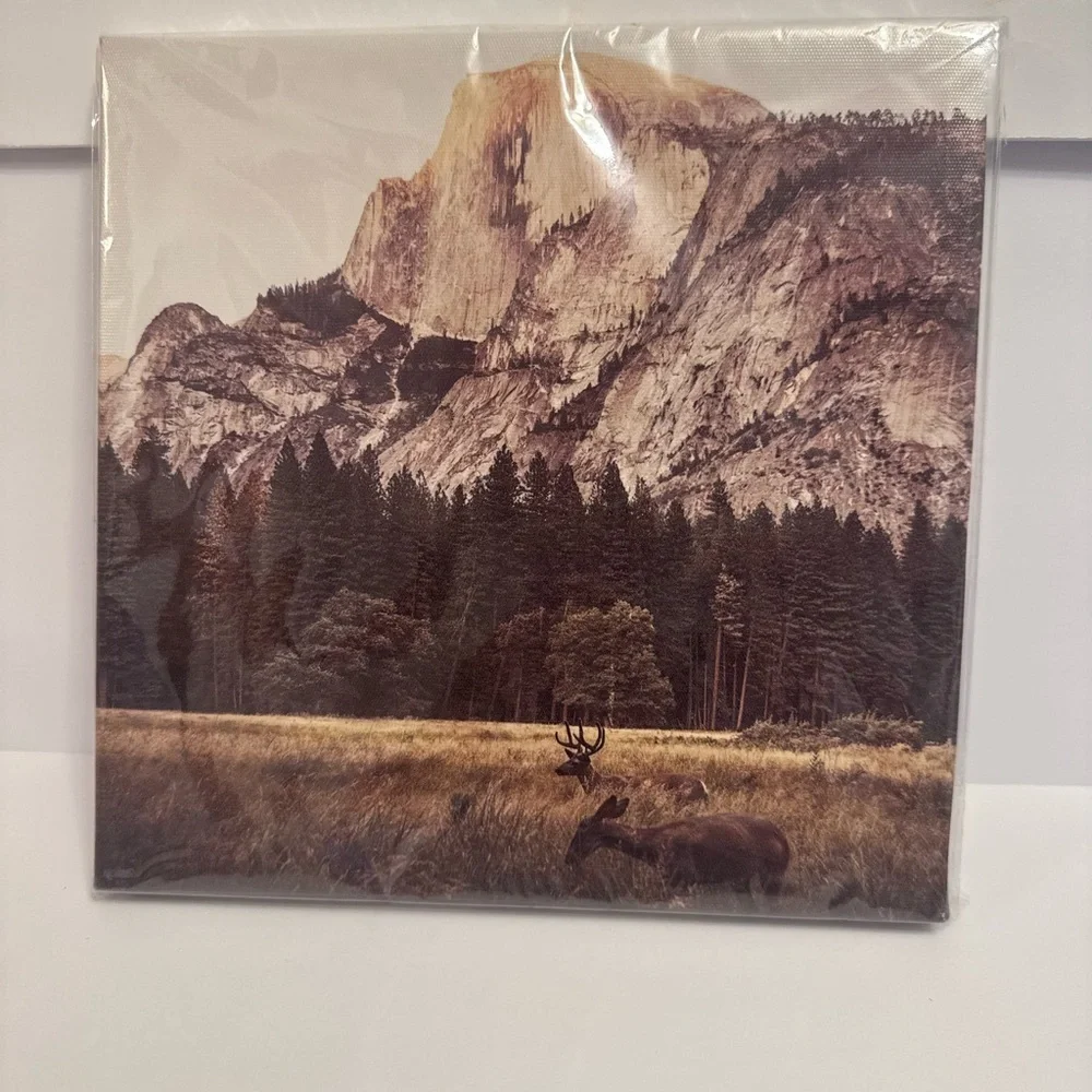 Scenic Mountain Wall Art in Brown and Green